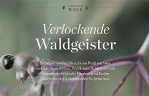Verlockende Waldgeister